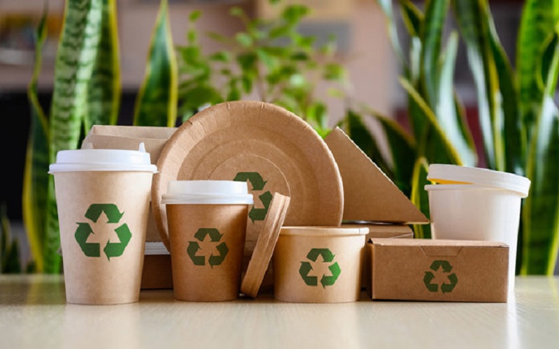 How Do Paper Cup Manufacturers Help to Promote Sustainable Food Packaging?